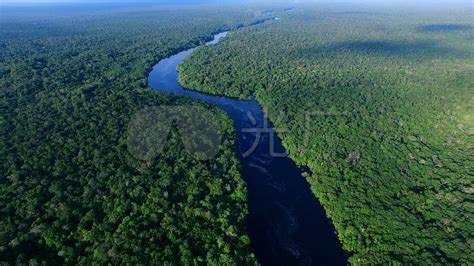 亚马逊热带雨林现状