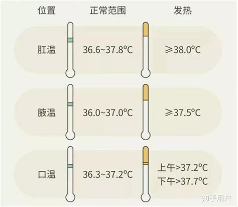 人的体温在多少度范围内算正常