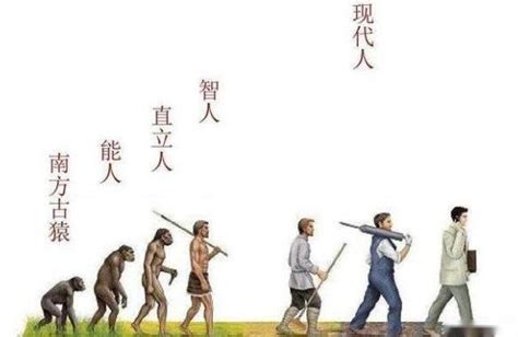 人类还在不断进化吗
