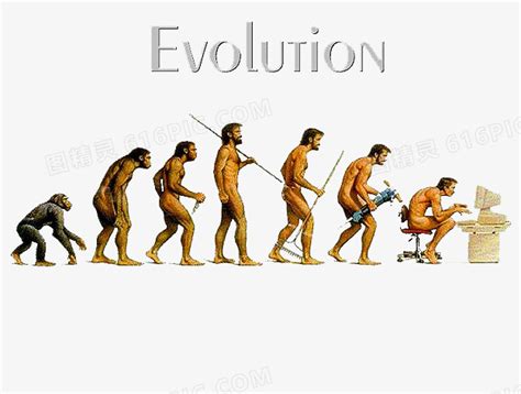 人类进化史科普