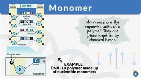 什么是monomer