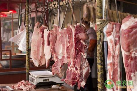 今天猪肉价多少钱一斤