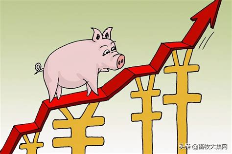 今日猪价格涨了还是降了