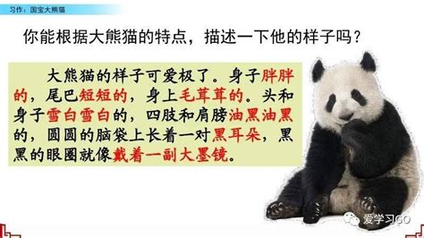 介绍大熊猫的作文四年级