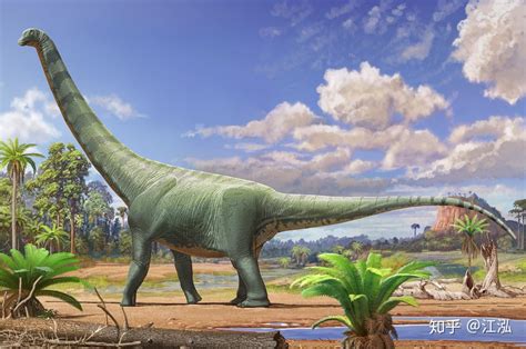 介绍最大的恐龙