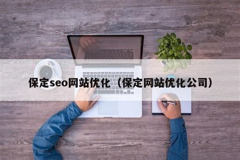 保定seo优化网络公司