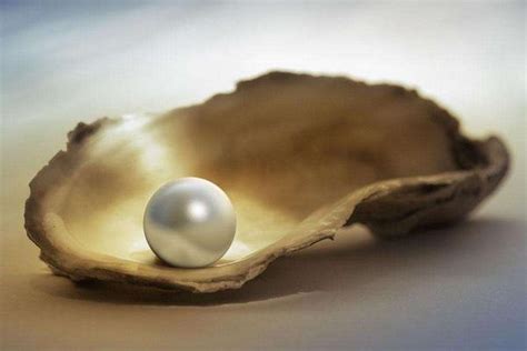 做梦梦到珍珠是什么意思