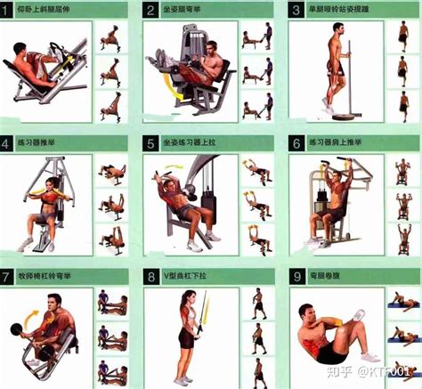 健身房练手臂器材一览表