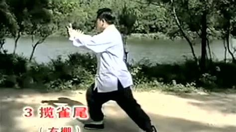 傅清泉85式太极拳教学视频