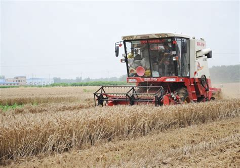 全国大规模小麦机收全面展开