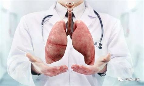关于养肺的养生视频