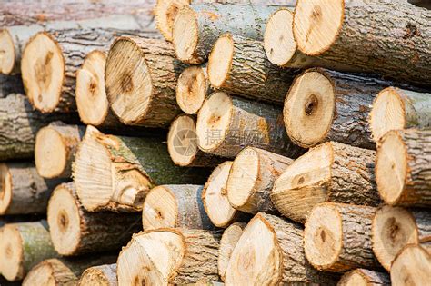 关于木材的公司起名