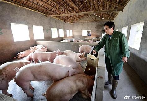 养猪家庭农场起名