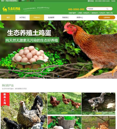 养鸡场专业起名网站