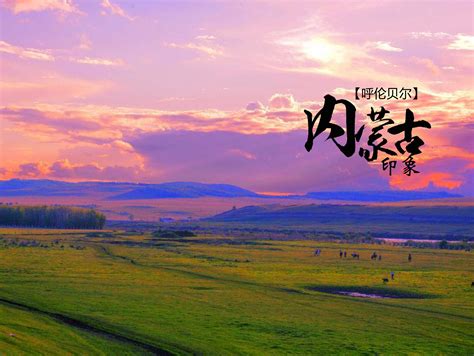 内蒙古旅游类网站建设