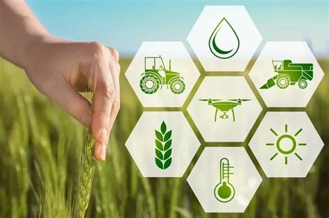 农业技术创新与服务推广体系