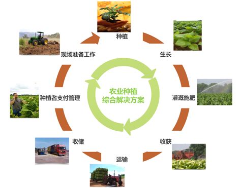 农业技术推广模式和措施