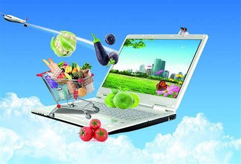 农产品电子商务应用