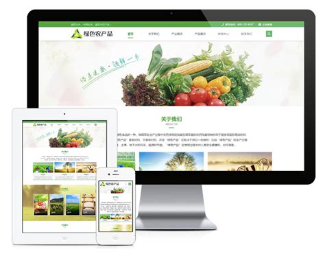 农产品网站建设策划书