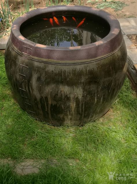 农村自动水缸图片