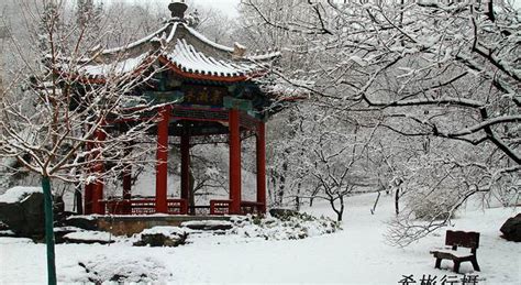 冬天的香山公园观后感
