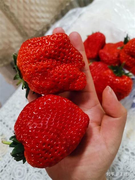 冰冻草莓为什么那么便宜