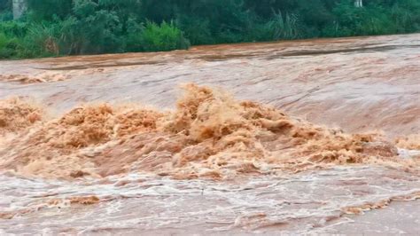 冶河洪水过境视频