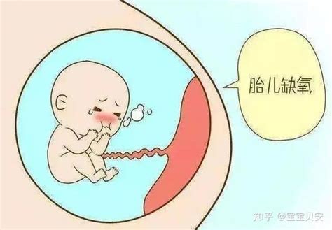 几个月胎儿会缺氧