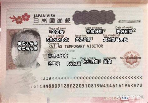 出国的签证图片是怎么样的