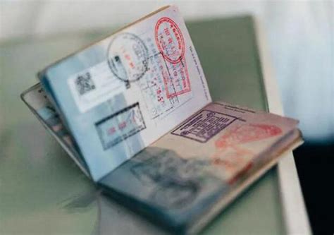 出国签证进度怎么查询