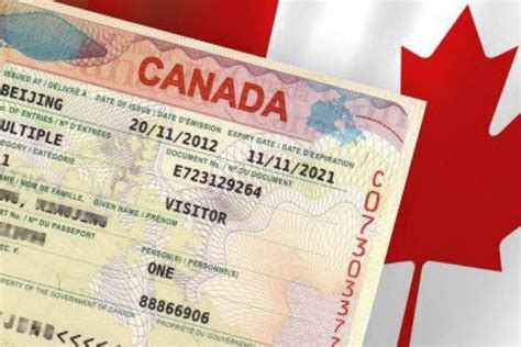 加拿大十年往返探亲签证