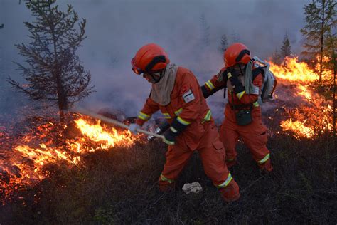 加拿大女消防员森林火灾后续