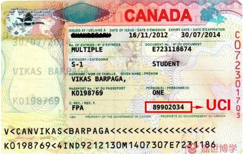 加拿大学签证件照