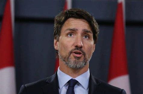 加拿大总理特鲁多图片