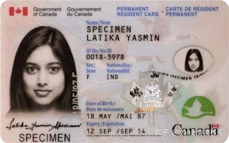 加拿大护照多少钱