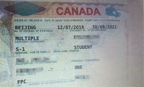 加拿大签证小学毕业需要去公证吗