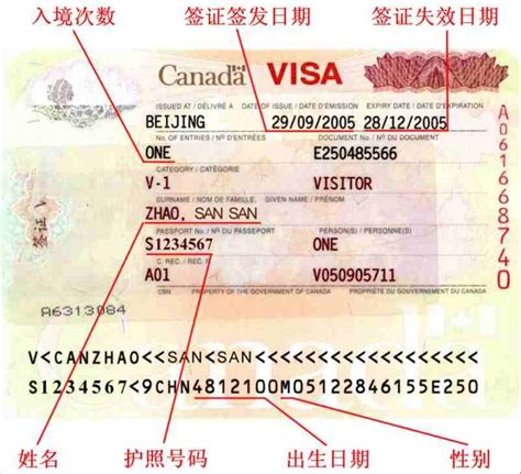 加拿大签证材料会不会去银行核实