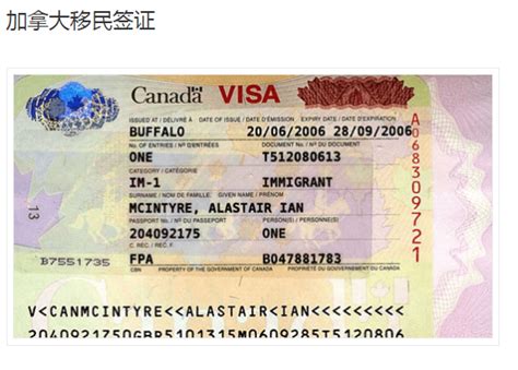 加拿大签证能自己翻译吗
