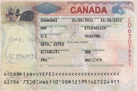加拿大证件模板