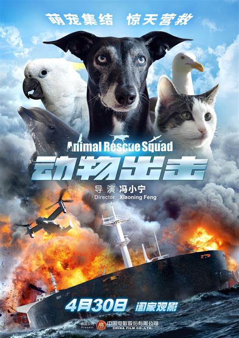 动物出击国语2电影