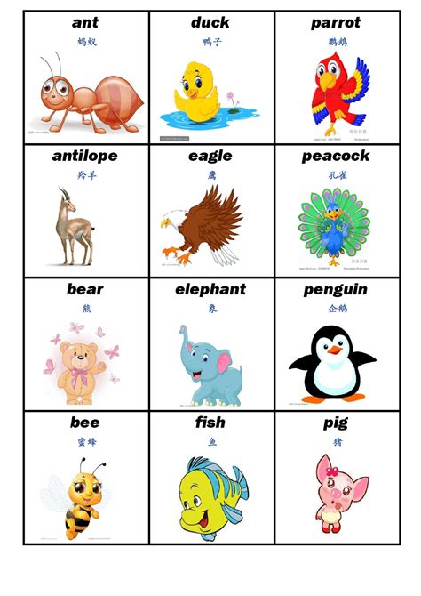 动物用英语怎么说