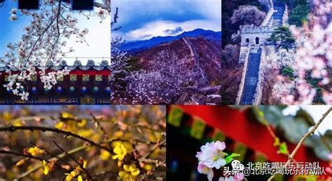 北京周边十个城市旅游