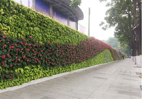 北京墙面绿化立体花坛定制厂家