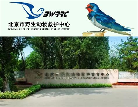 北京市野生动物救护中心