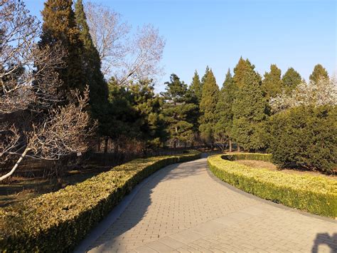 北京植物园开车去哪个门近一点