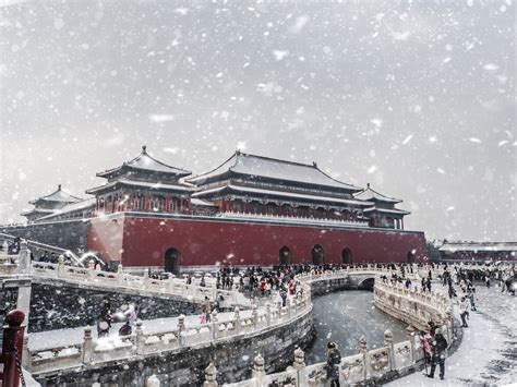 北京的初雪读后感