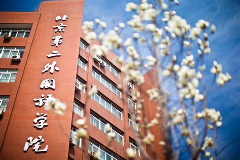 北京第二外国语学院就业证书