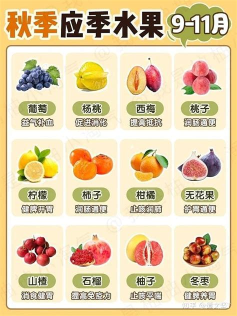十二月当季水果有哪些