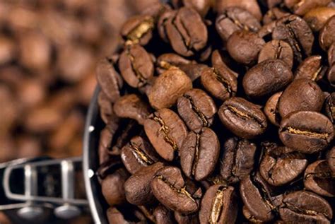 十大顶级咖啡豆排名榜图片及价格
