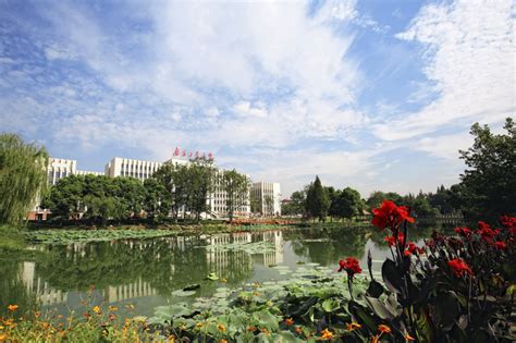 南京工业大学的化工国际排名